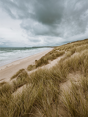 Visual Kuis - Asbestemming